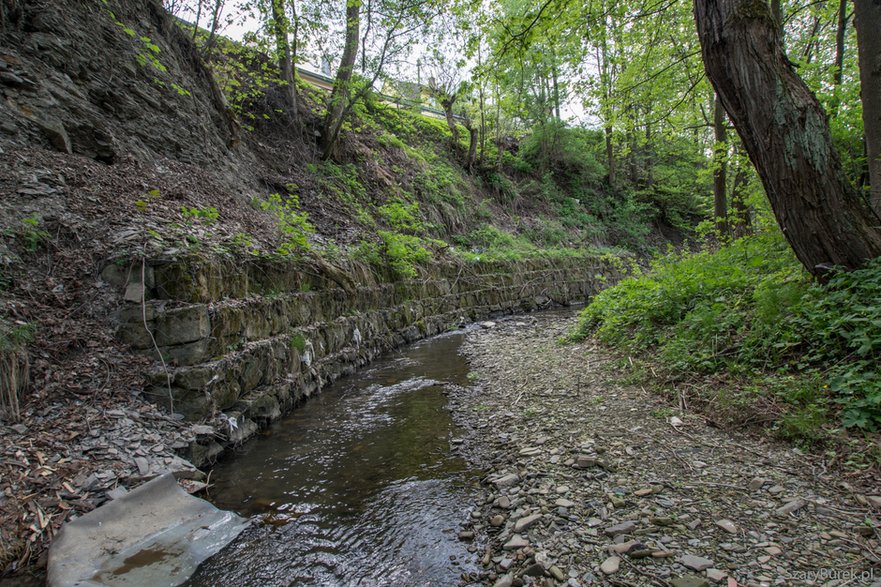 W starym opuszczonym domu