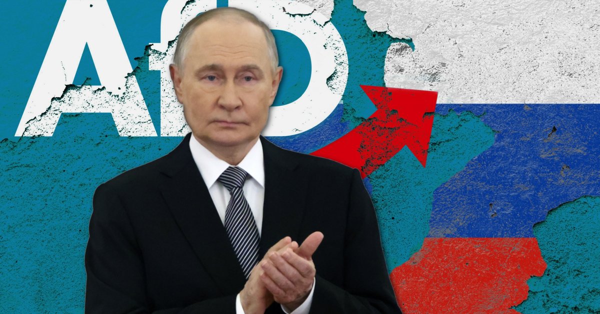 Władimir Putin na tle loga AfD i flagi Rosji