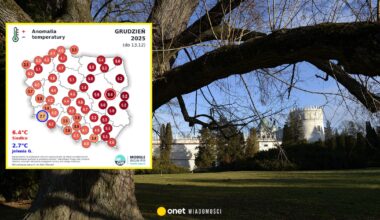 Są trzy nowe rekordy ciepła w Polsce. Takich temperatur w grudniu nie było