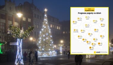 W nocy lokalnie pojawią się przymrozki, nie tylko przygruntowe