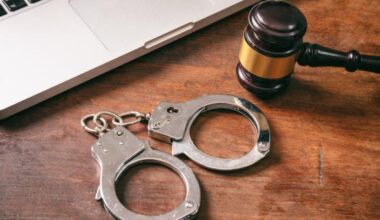 Zabójstwo jedenastolatki - procedura i środki karne