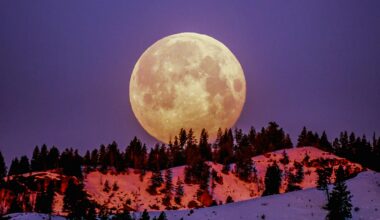 grudniowa pełnia księżyca jak obserwować Zimny Księżyc Zimny Księżyc W nocy z 4 na 5 grudnia pojawi się pełnia - Zimny Księżyc.