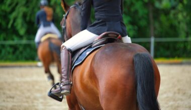 Dwie osoby siedzące na koniach, jedna z nich bliżej widza, obie w strojach jeździeckich.