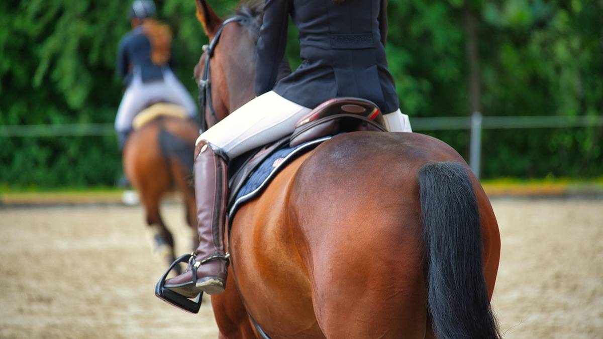 Dwie osoby siedzące na koniach, jedna z nich bliżej widza, obie w strojach jeździeckich.