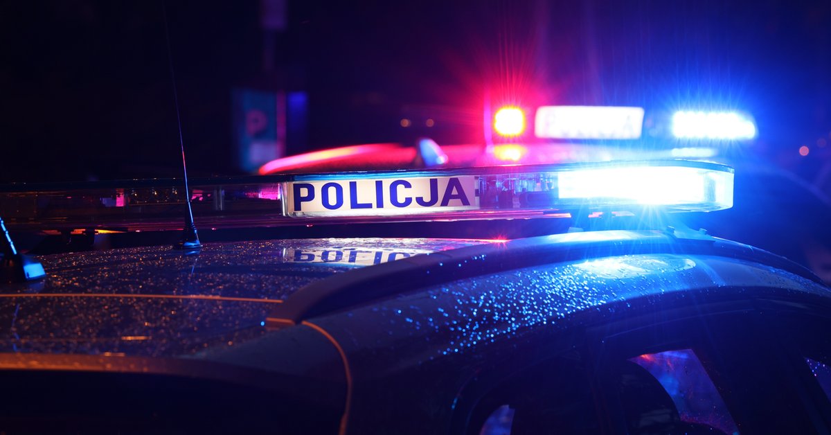 Wyrzucił turystkę w nocy w lesie z autobusu. Policja zdradza szczegóły