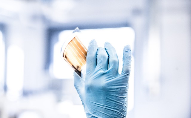 Miała zrewolucjonizować świat, a teraz ważą się jej losy w firmie