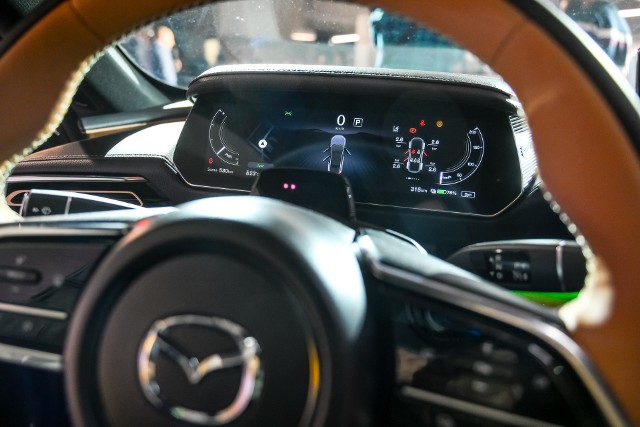 Leasing finansuje niemal połowę inwestycji firm. Polska jest liderem w Europie