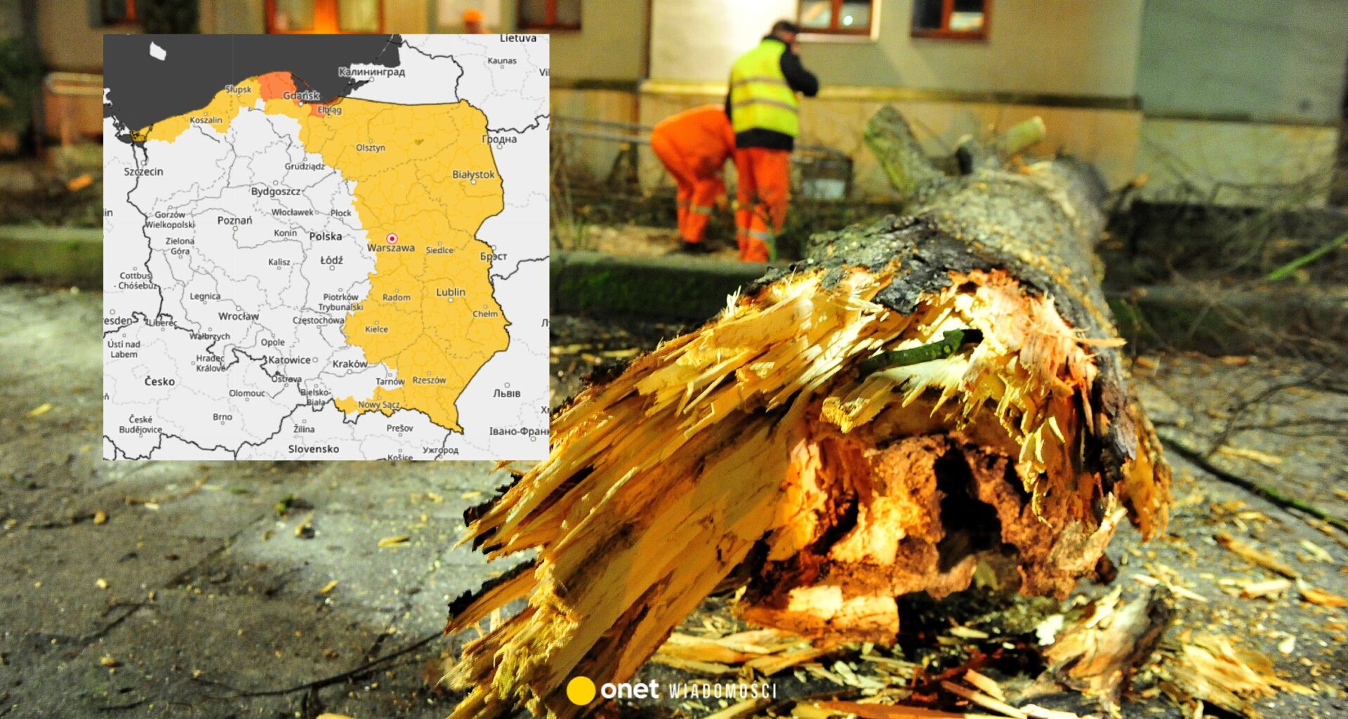 IMGW ostrzega przed silną wichurą. W tym regionie wydano pomarańczowe alerty