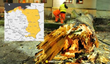 IMGW ostrzega przed silną wichurą. W tym regionie wydano pomarańczowe alerty