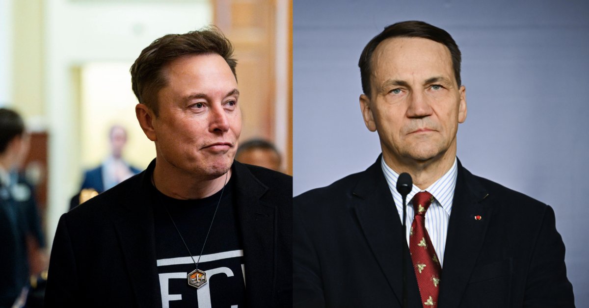 Radosław Sikorski znów zaczepił Elona Muska. Przypomniał post "proroka" Putina - Onet