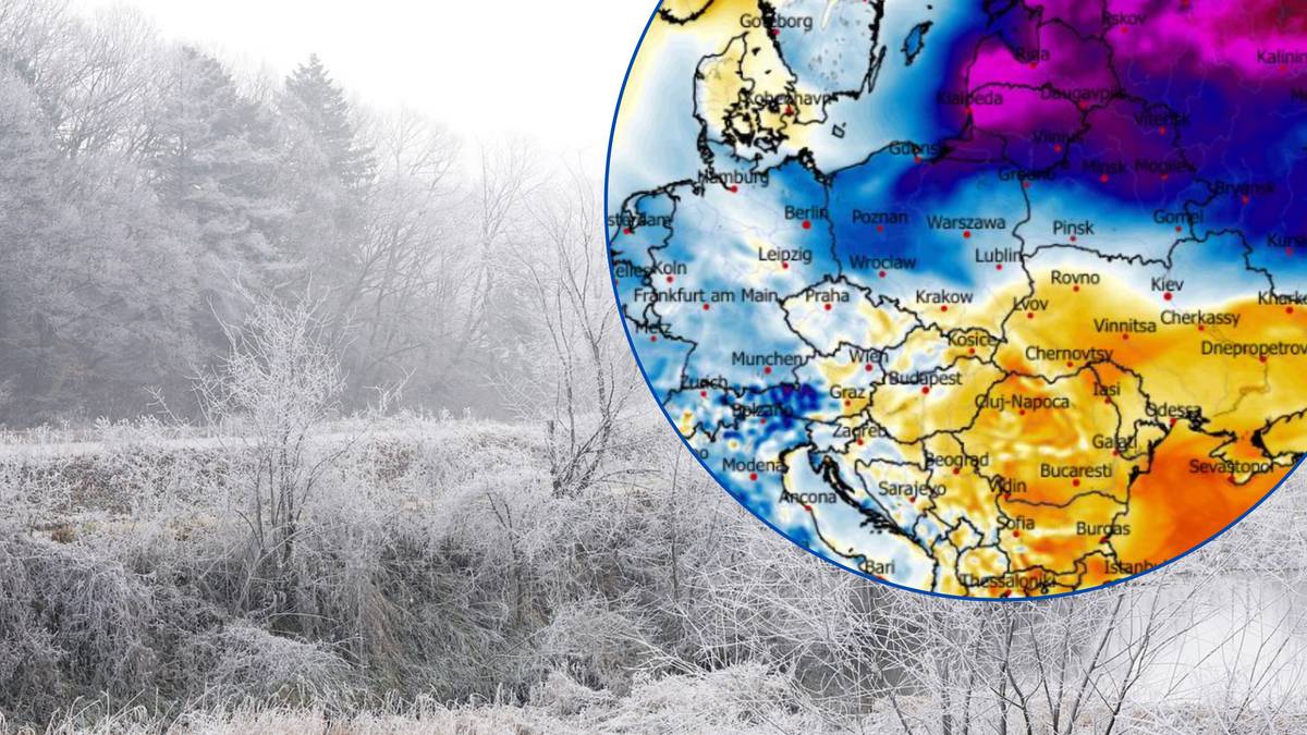 Mapa Europy z zaznaczonymi temperaturami i zimowy krajobraz z drzewami pokrytymi szronem.
