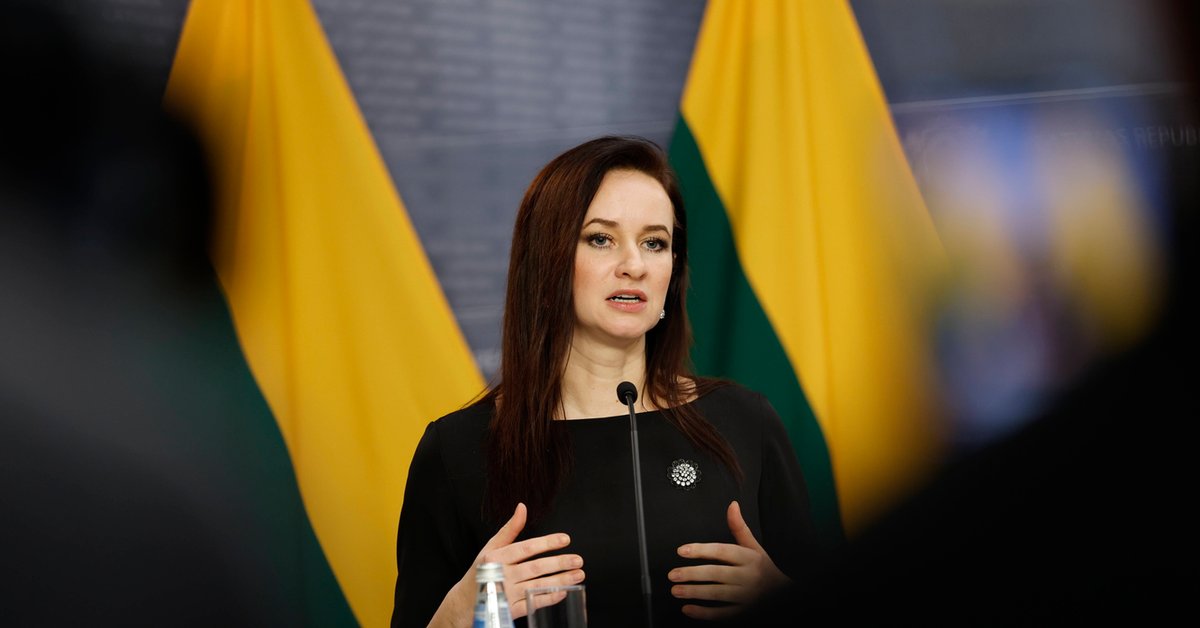 Litwa wprowadzi stan wyjątkowy. Powodem naruszenia przestrzeni powietrznej