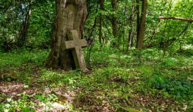 Będą kolejne ekshumacje na Wołyniu. Jest zgoda Ukrainy - Onet