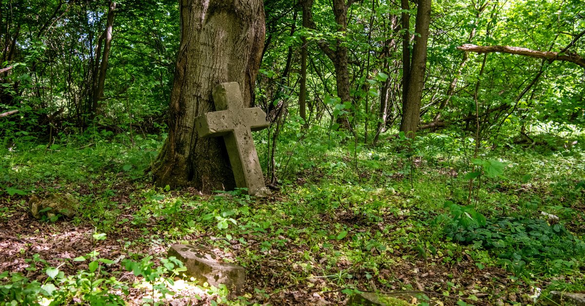 Będą kolejne ekshumacje na Wołyniu. Jest zgoda Ukrainy - Onet