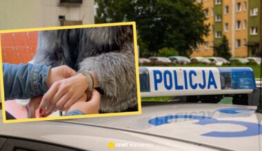 Śląska policja rozbiła grupę przestępczą. Prowadzliła agencję towarzyską w Tychach