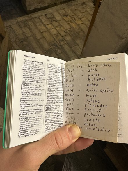 Vincent odkrywa język polski. 