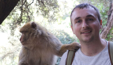 Kto przejmie schedę po człowieku? Naukowiec z Oksfordu wskazał konkretny gatunek