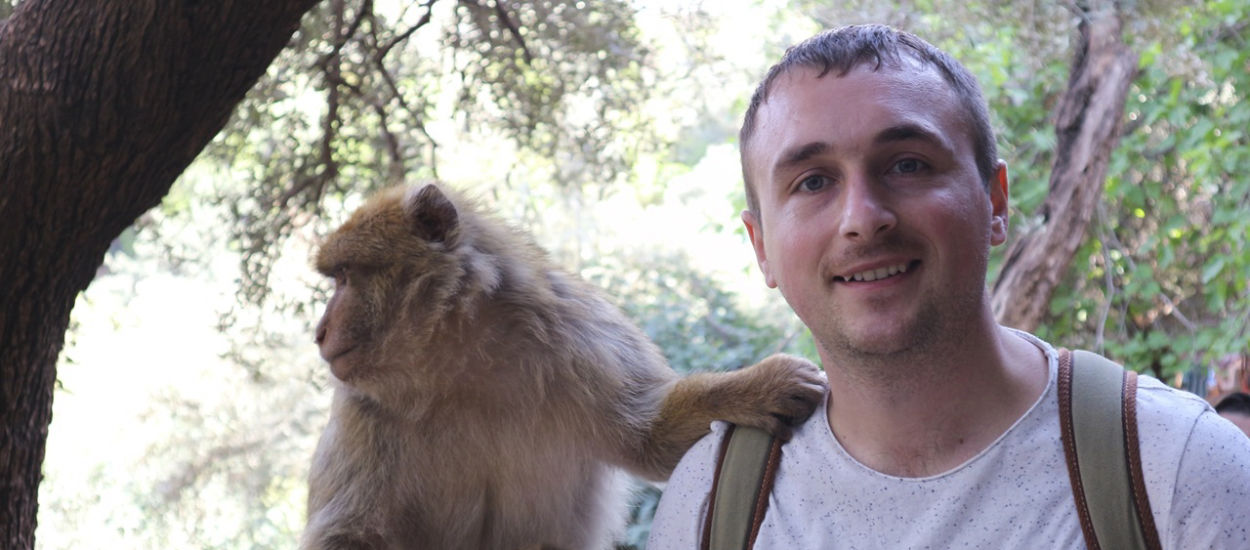 Kto przejmie schedę po człowieku? Naukowiec z Oksfordu wskazał konkretny gatunek