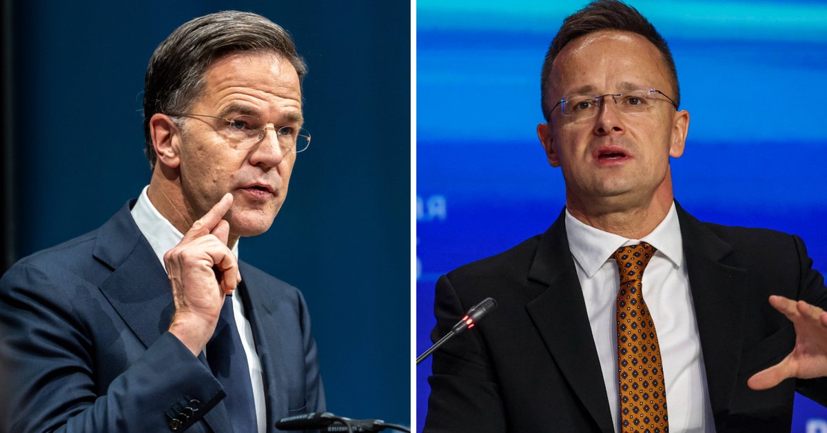 Węgierski minister wspomniał słowa szefa NATO. "Zdrowy rozsądek zanikł"