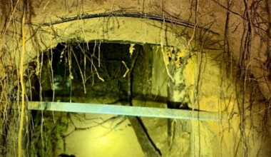 Zatrzymano ponad setkę migrantów