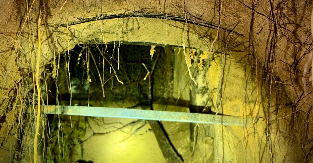 Zatrzymano ponad setkę migrantów