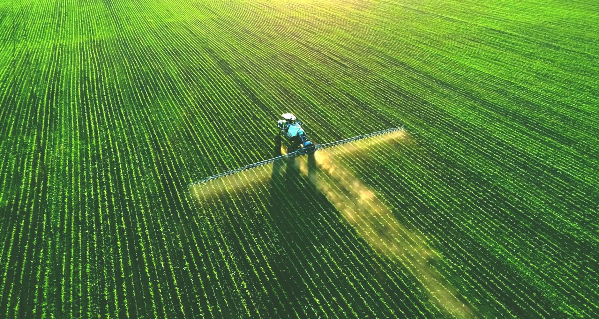 Donald Trump wpuszcza białoruskie nawozy z powrotem na rynek. Kto na tym ucierpi? - Rzeczpospolita