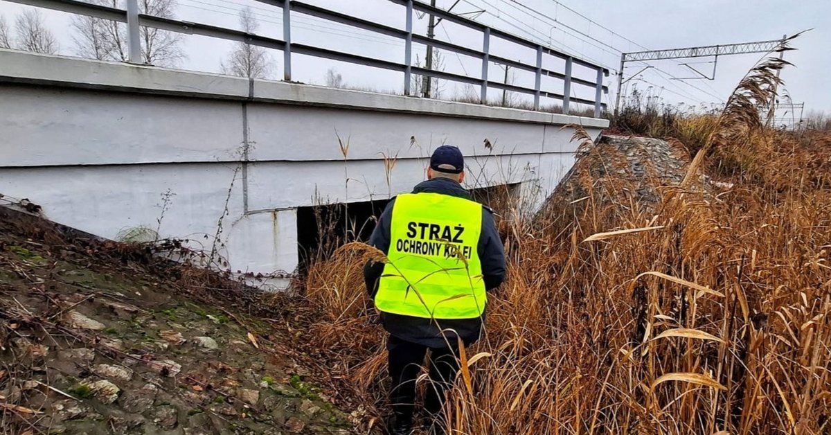 Incydent przy torach kolejowych w Lubelskiem. Dwóch mężczyzn zatrzymanych - Onet