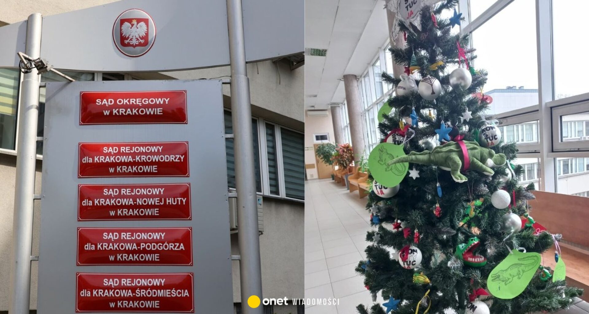 Sędziowie spierają się o choinkę. Jedni zawiesili bombki, ktoś inny krokodyle