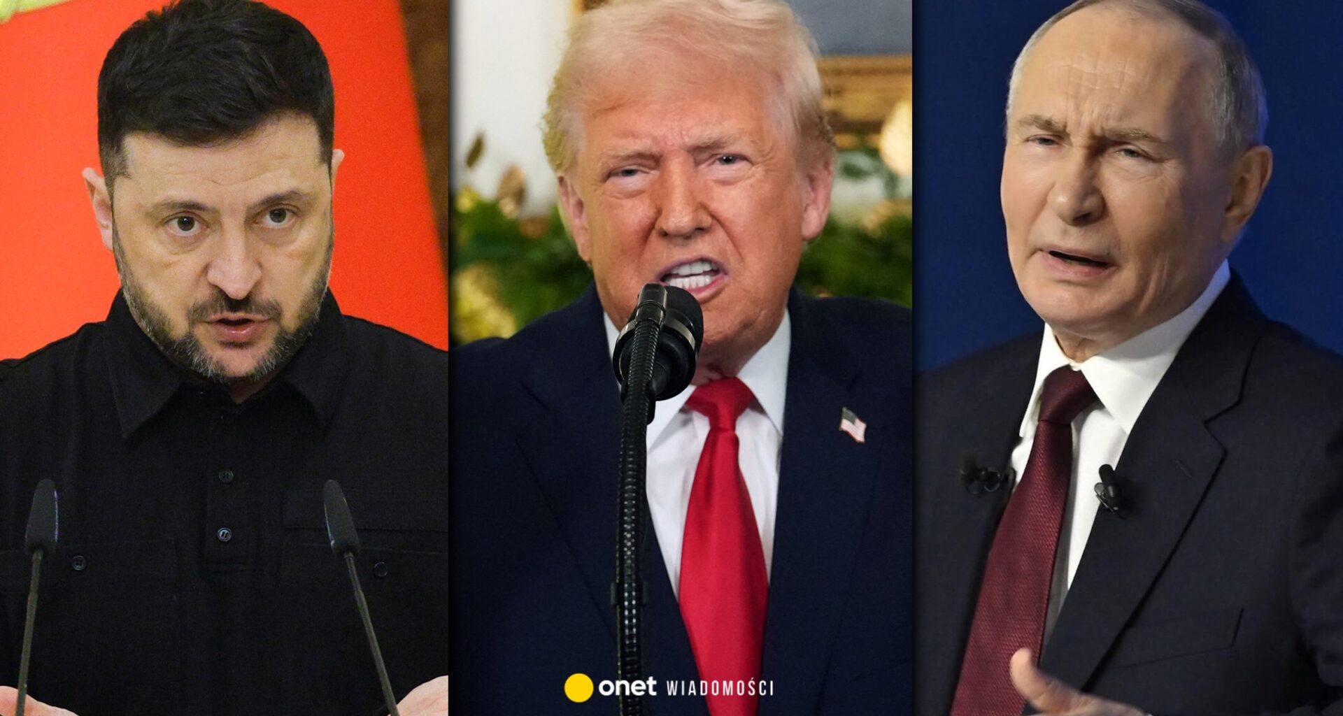 Zełenski ujawnił 20-punktowy plan pokojowy. "Znalazły się tam też punkty dziwne lub nierealne"