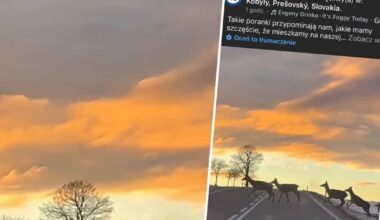 Dzikie, piękne, prawdziwe – Tatry pokazały swoje naturalne oblicze