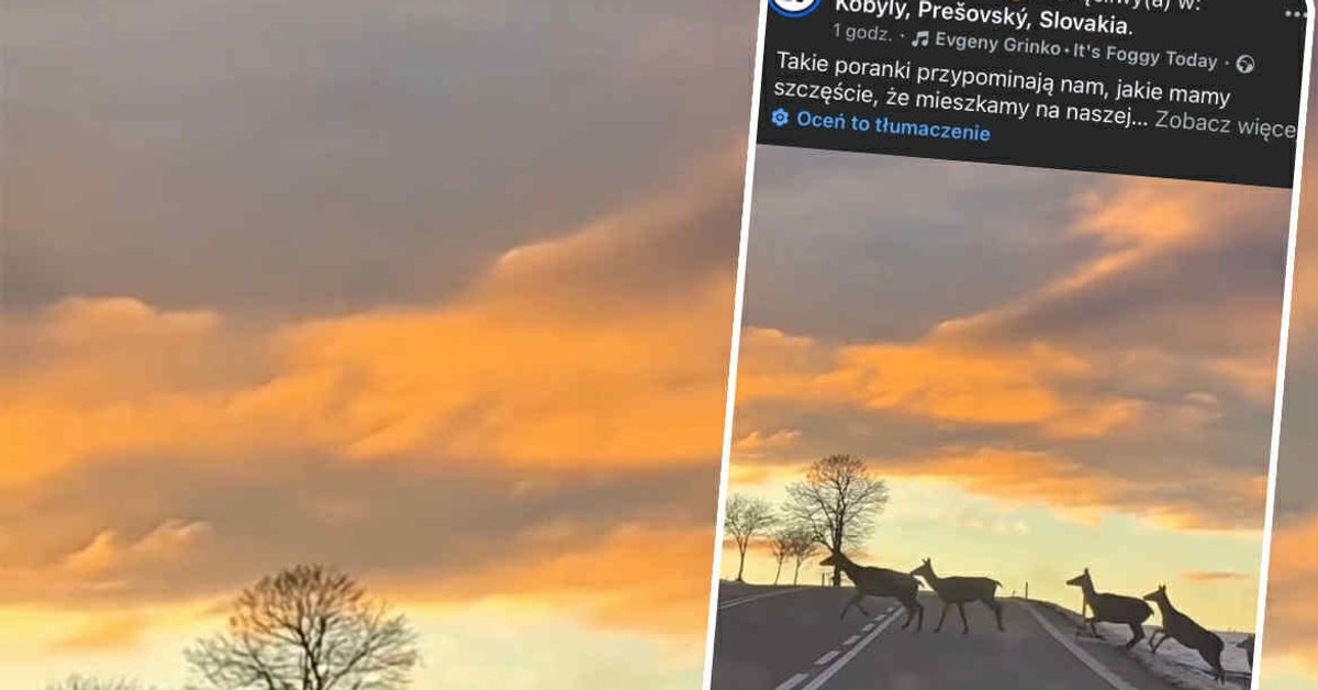 Dzikie, piękne, prawdziwe – Tatry pokazały swoje naturalne oblicze