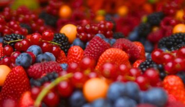 Wielka polska przetwórnia upadła. Rolnicy stracili miliony