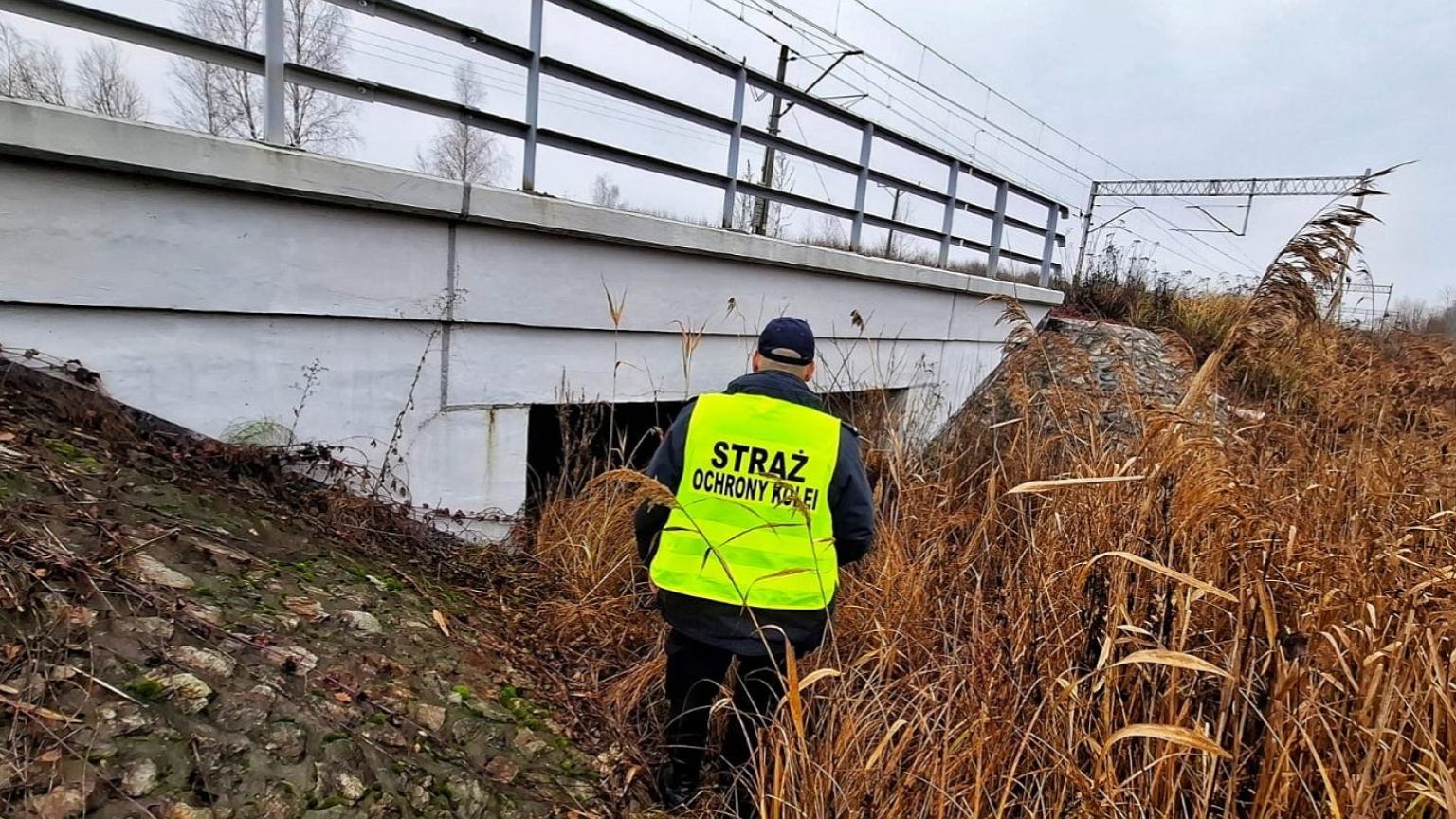 Straż Ochrony Kolei dostała sygnał z fotopułapki. To działo się przy torach