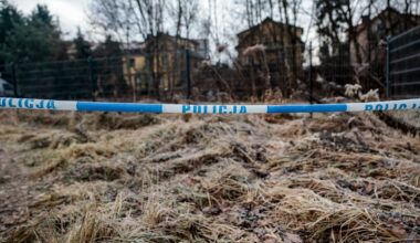 Tragedia w Jeleniej Górze. Stanowcze oświadczenie MSWiA ws. zabójstwa 11-latki