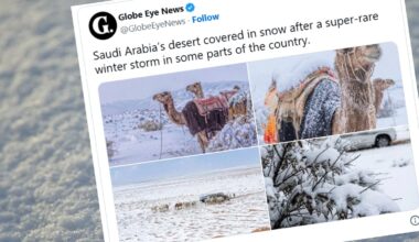 Arabia Saudyjska w śniegu. Pierwszy raz od 30 lat zima zaskoczyła... wielbłądy