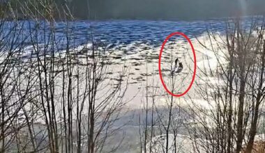 Nagranie z Czech wywołało poruszenie. Kobieta z wózkiem przy zaporze na lodzie