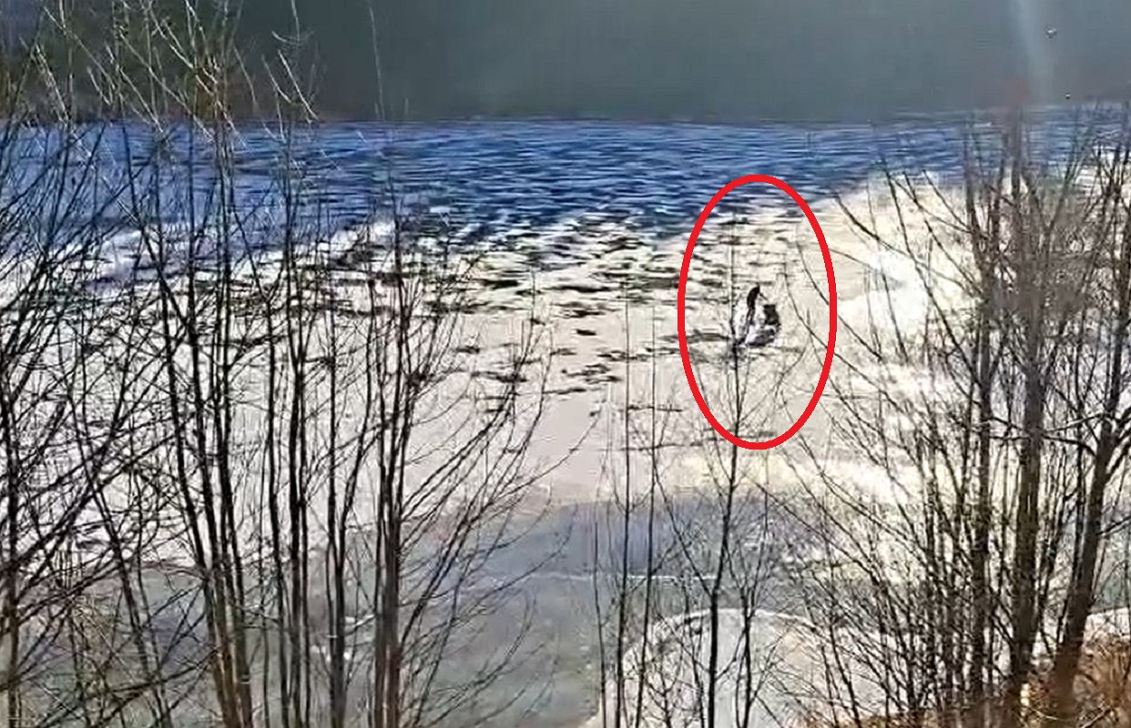 Nagranie z Czech wywołało poruszenie. Kobieta z wózkiem przy zaporze na lodzie