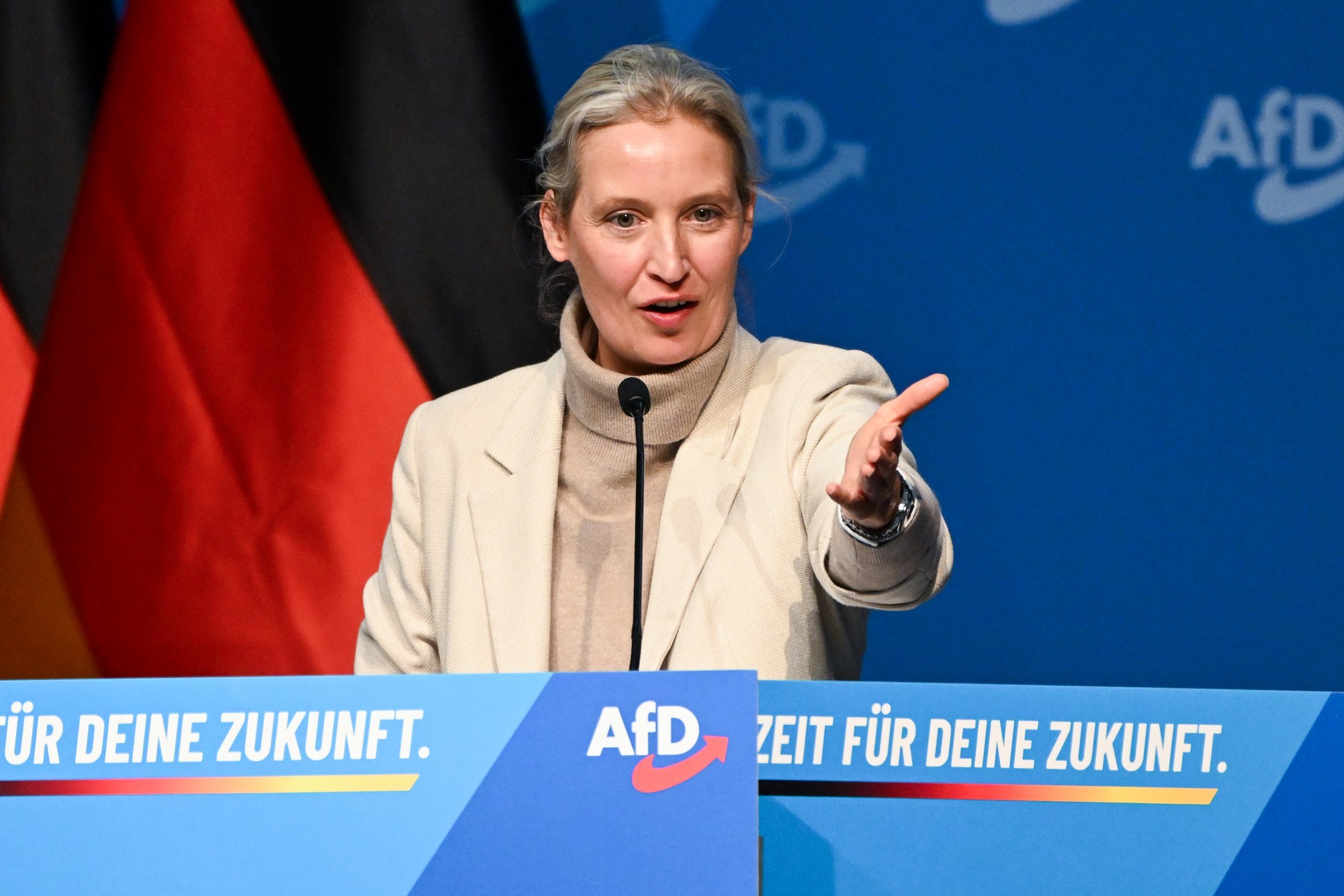 Alice Weidel, Giessen, 29 listopada 2025 r.