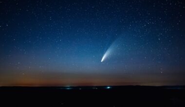 Wysłali mysz w kosmos. Teraz urodziła małe myszki