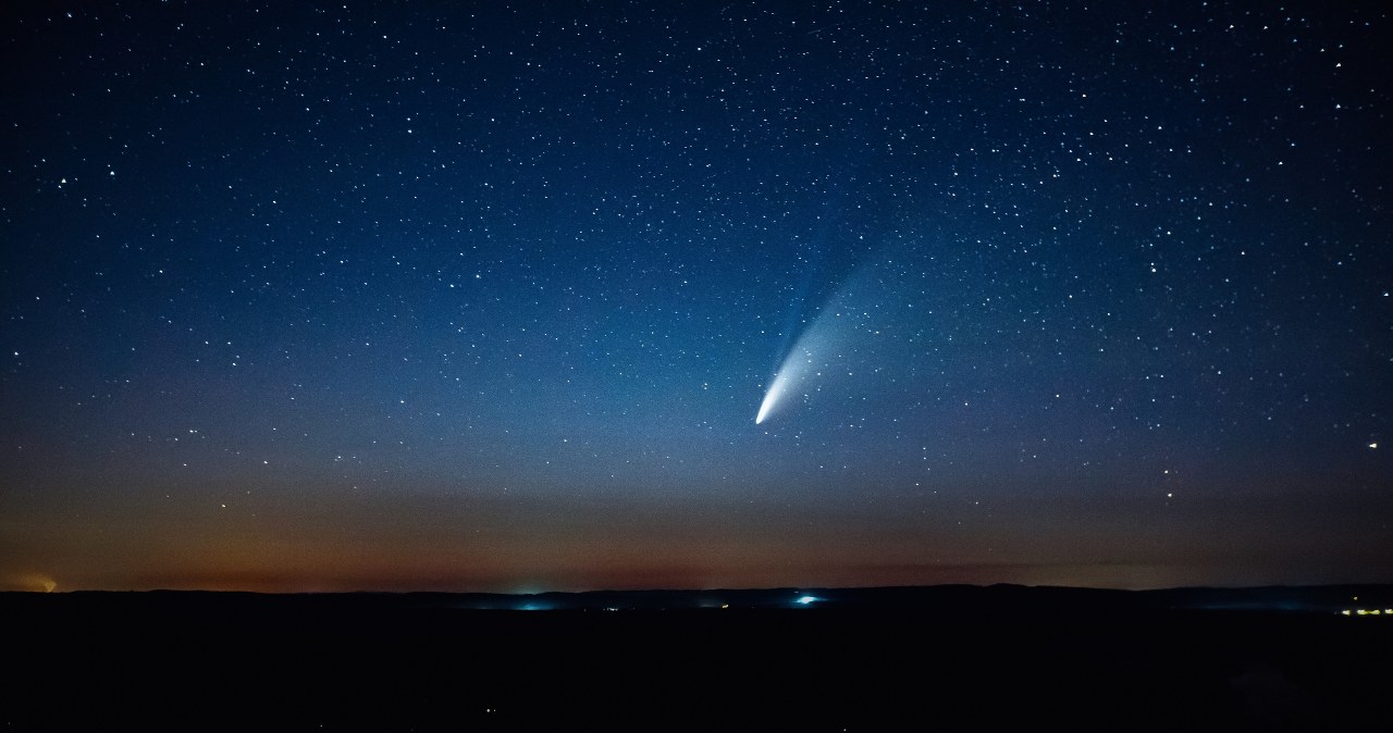 Wysłali mysz w kosmos. Teraz urodziła małe myszki