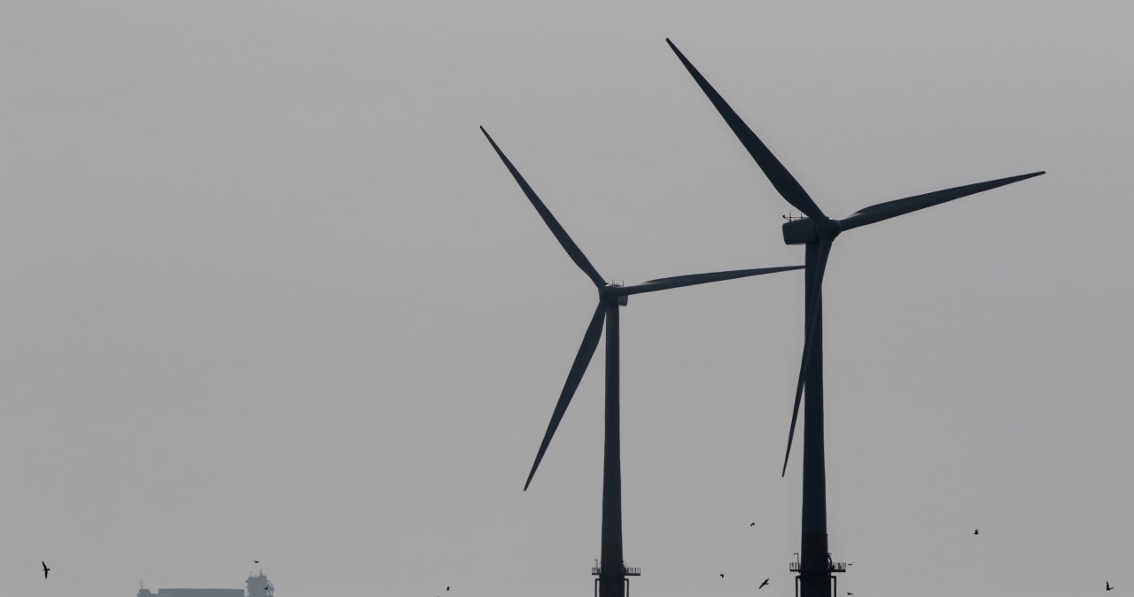 Przejdź na stronę główną INTERIA.PL