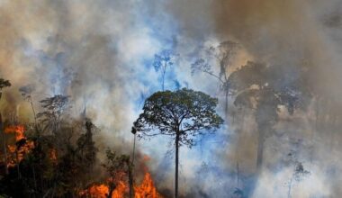 Przejdź na stronę główną INTERIA.PL