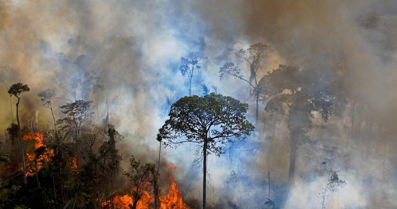 Przejdź na stronę główną INTERIA.PL