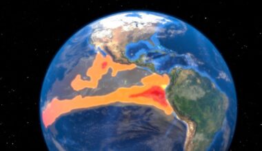 Ukraińcy przejęli pierwsze rosyjskie "pancerne jeże". Drony bez szans