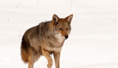 Przejdź na stronę główną INTERIA.PL