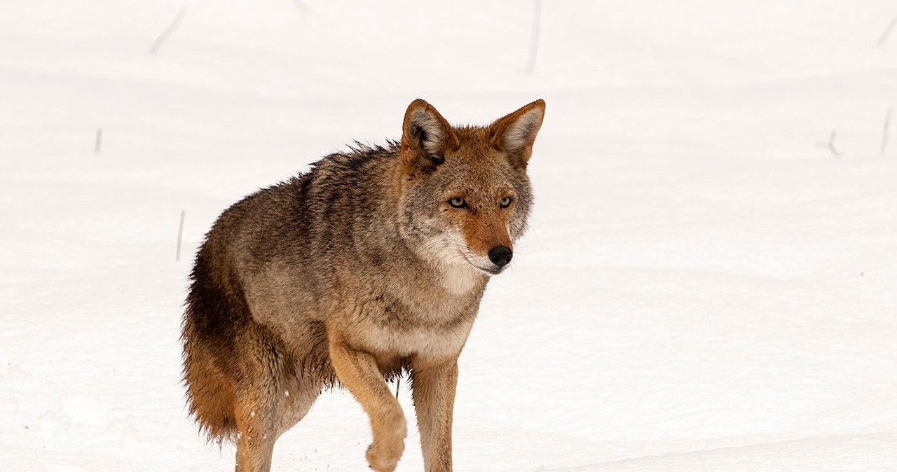 Przejdź na stronę główną INTERIA.PL