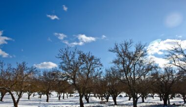Przejdź na stronę główną INTERIA.PL