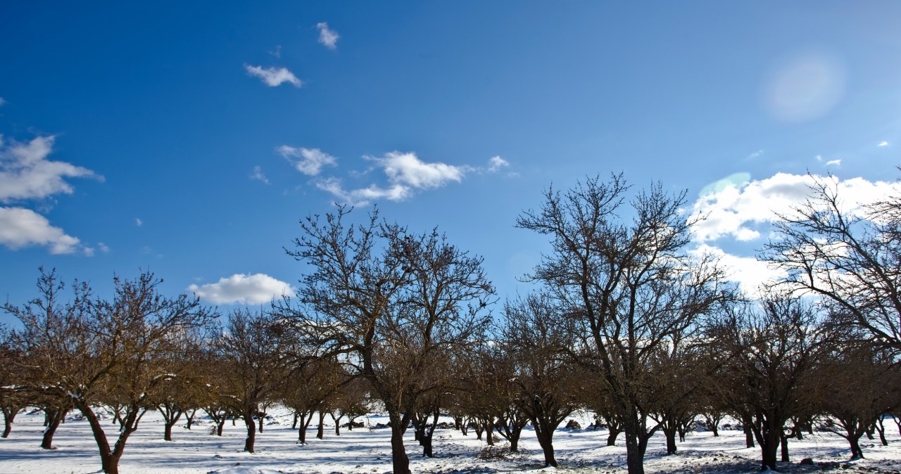 Przejdź na stronę główną INTERIA.PL
