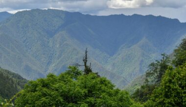 Przejdź na stronę główną INTERIA.PL