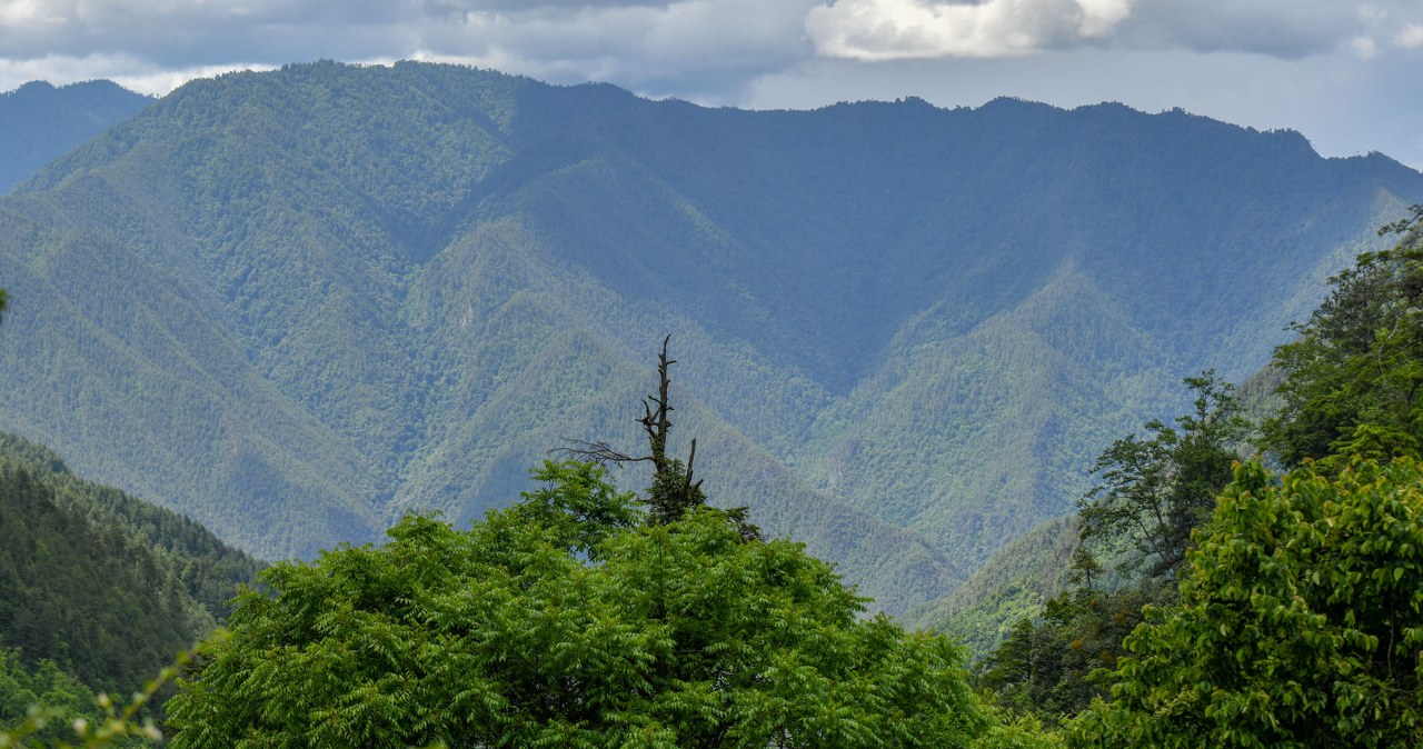 Przejdź na stronę główną INTERIA.PL